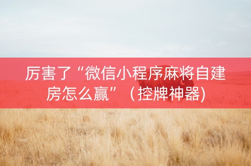 厉害了“微信小程序麻将自建房怎么赢”（控牌神器)