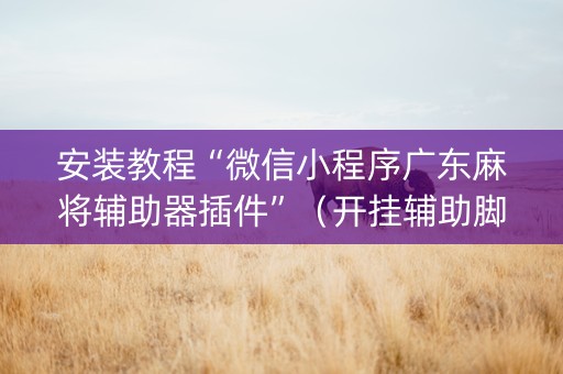 安装教程“微信小程序广东麻将辅助器插件”（开挂辅助脚本)