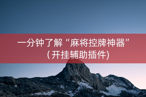 一分钟了解“麻将控牌神器”（开挂辅助插件)