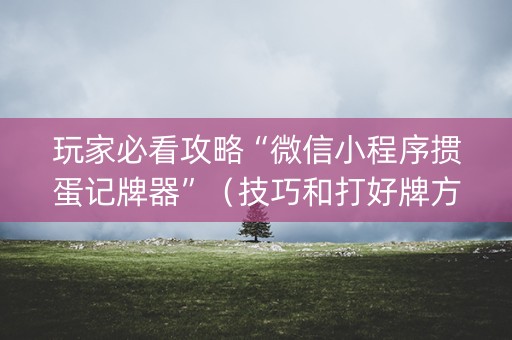 玩家必看攻略“微信小程序掼蛋记牌器”（技巧和打好牌方法)