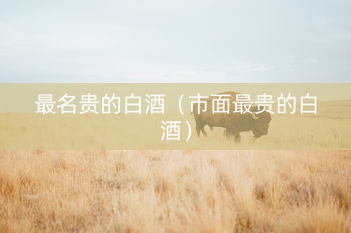 最名贵的白酒（市面最贵的白酒）
