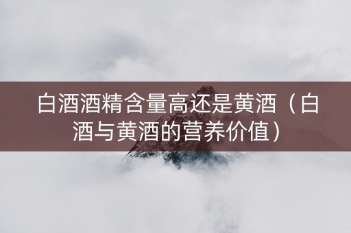 白酒酒精含量高还是黄酒（白酒与黄酒的营养价值）