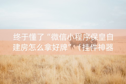 终于懂了“微信小程序保皇自建房怎么拿好牌”（挂件神器)
