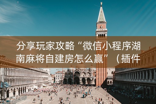 分享玩家攻略“微信小程序湖南麻将自建房怎么赢”（插件可信吗)