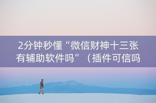 2分钟秒懂“微信财神十三张有辅助软件吗”（插件可信吗)