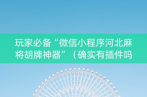 玩家必备“微信小程序河北麻将胡牌神器”（确实有插件吗)