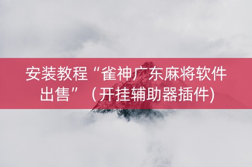 安装教程“雀神广东麻将软件出售”（开挂辅助器插件)