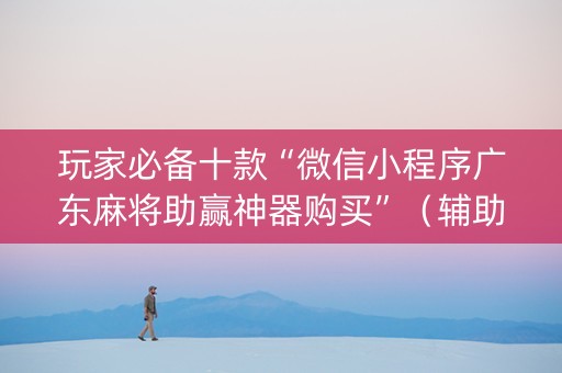 玩家必备十款“微信小程序广东麻将助赢神器购买”（辅助器下载)