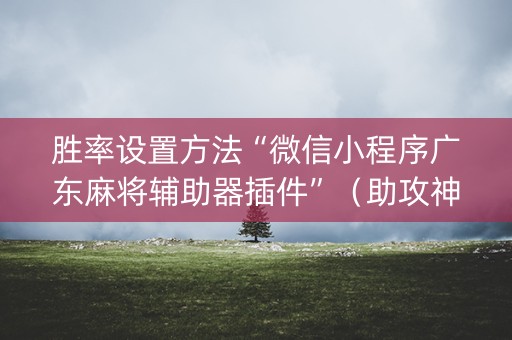 胜率设置方法“微信小程序广东麻将辅助器插件”（助攻神器)