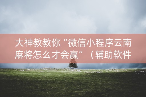大神教教你“微信小程序云南麻将怎么才会赢”（辅助软件)