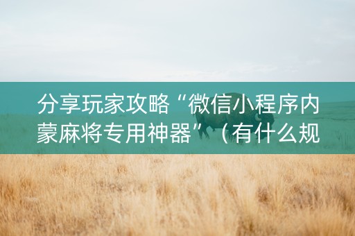 分享玩家攻略“微信小程序内蒙麻将专用神器”（有什么规律)