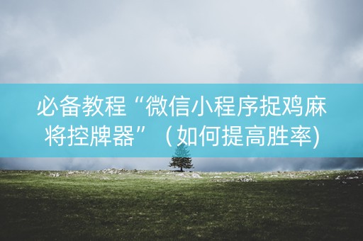 必备教程“微信小程序捉鸡麻将控牌器”（如何提高胜率)