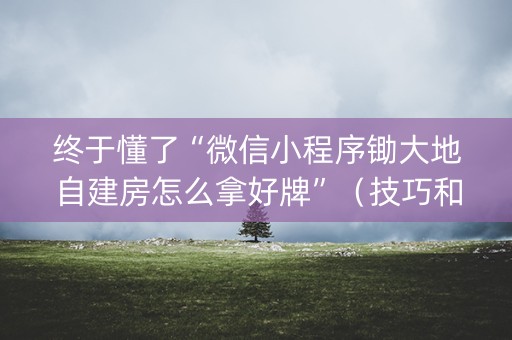 终于懂了“微信小程序锄大地自建房怎么拿好牌”（技巧和打好牌方法)