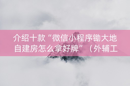 介绍十款“微信小程序锄大地自建房怎么拿好牌”（外辅工具)