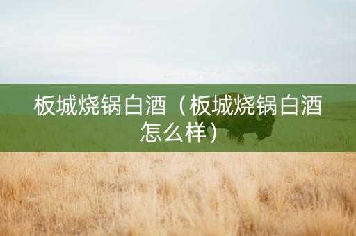 板城烧锅白酒（板城烧锅白酒怎么样）
