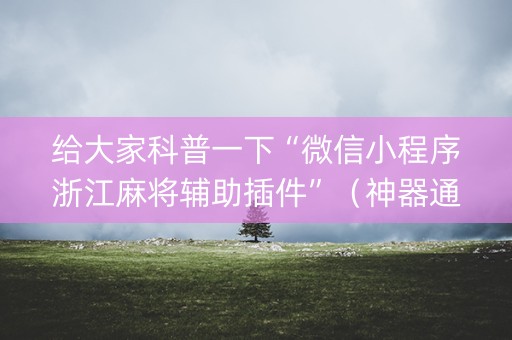 给大家科普一下“微信小程序浙江麻将辅助插件”（神器通用版)