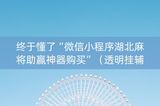 终于懂了“微信小程序湖北麻将助赢神器购买”（透明挂辅助器)