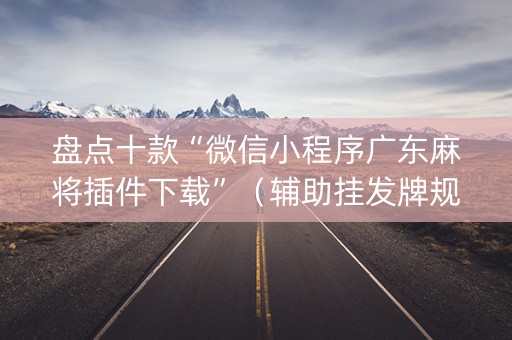 盘点十款“微信小程序广东麻将插件下载”（辅助挂发牌规律)