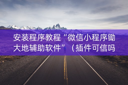 安装程序教程“微信小程序锄大地辅助软件”（插件可信吗)