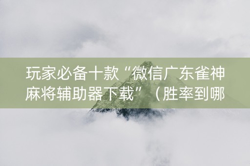 玩家必备十款“微信广东雀神麻将辅助器下载”（胜率到哪调)