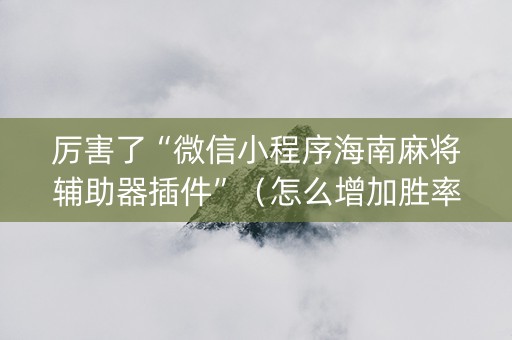 厉害了“微信小程序海南麻将辅助器插件”（怎么增加胜率)