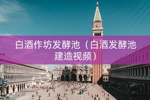 白酒作坊发酵池（白酒发酵池建造视频）