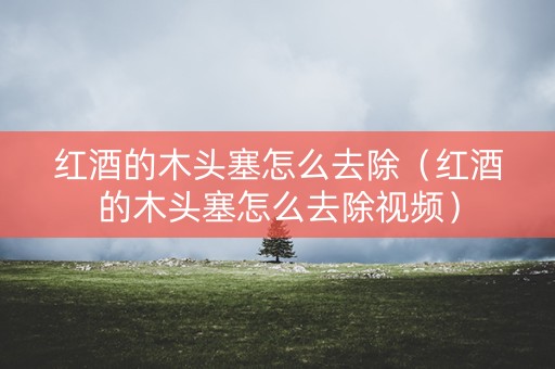 红酒的木头塞怎么去除（红酒的木头塞怎么去除视频）