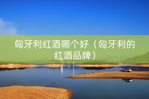 匈牙利红酒哪个好（匈牙利的红酒品牌）