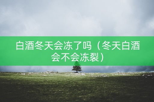 白酒冬天会冻了吗（冬天白酒会不会冻裂）