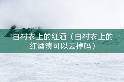 白衬衣上的红酒（白衬衣上的红酒渍可以去掉吗）