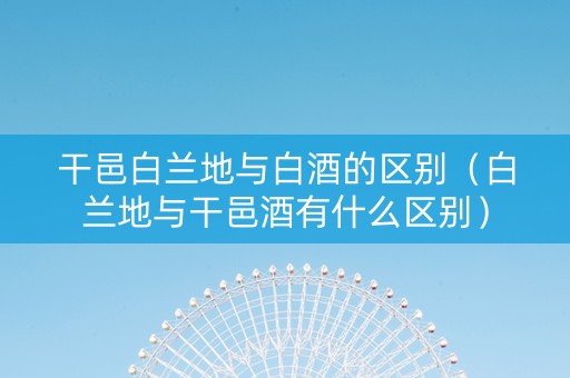 干邑白兰地与白酒的区别（白兰地与干邑酒有什么区别）