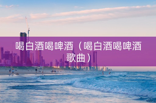 喝白酒喝啤酒（喝白酒喝啤酒歌曲）