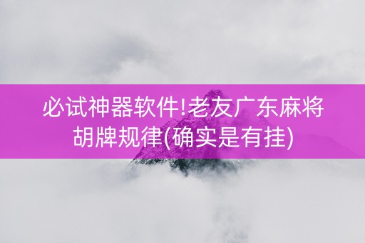 必试神器软件!老友广东麻将胡牌规律(确实是有挂)