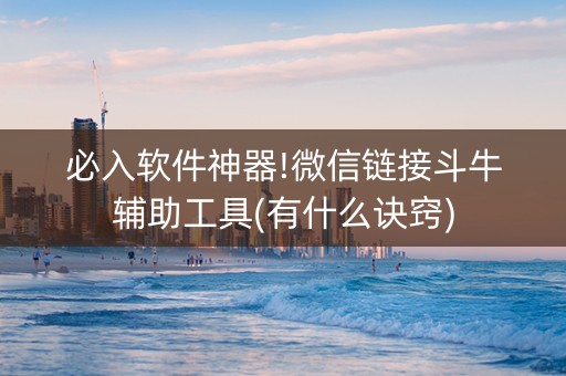 必入软件神器!微信链接斗牛辅助工具(有什么诀窍)