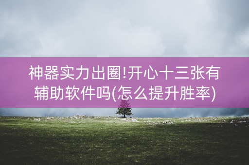 神器实力出圈!开心十三张有辅助软件吗(怎么提升胜率)