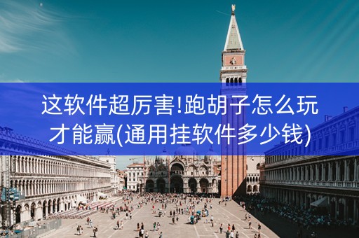 这软件超厉害!跑胡子怎么玩才能赢(通用挂软件多少钱)