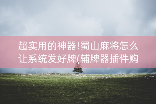 超实用的神器!蜀山麻将怎么让系统发好牌(辅牌器插件购买)