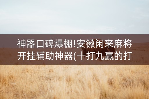 神器口碑爆棚!安徽闲来麻将开挂辅助神器(十打九赢的打法)