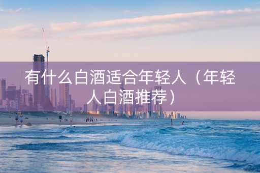 有什么白酒适合年轻人(年轻人白酒推荐) 有什么白酒适合年轻人(年轻人白酒推荐)