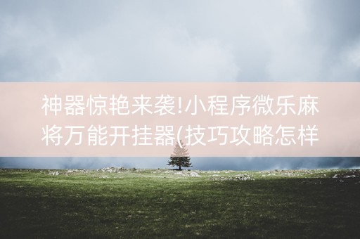 神器惊艳来袭!小程序微乐麻将万能开挂器(技巧攻略怎样拿好牌)