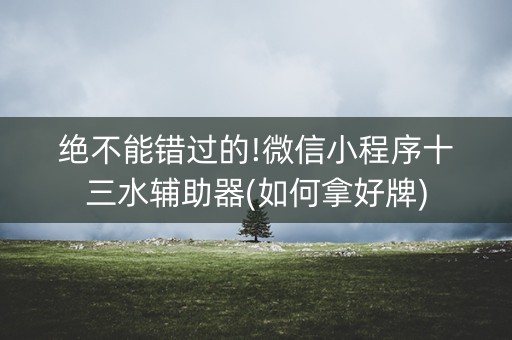 绝不能错过的!微信小程序十三水辅助器(如何拿好牌)