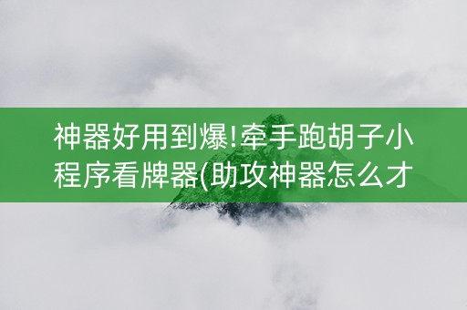 神器好用到爆!牵手跑胡子小程序看牌器(助攻神器怎么才会赢)