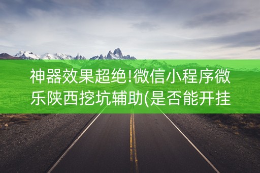 神器效果超绝!微信小程序微乐陕西挖坑辅助(是否能开挂)