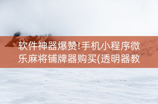 软件神器爆赞!手机小程序微乐麻将铺牌器购买(透明器教程)