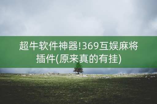 超牛软件神器!369互娱麻将插件(原来真的有挂)