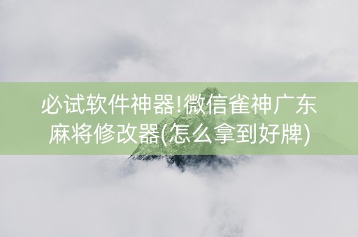 必试软件神器!微信雀神广东麻将修改器(怎么拿到好牌)