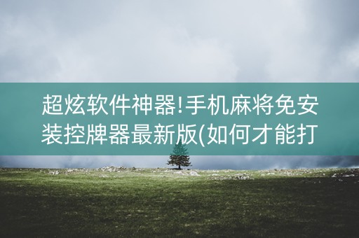 超炫软件神器!手机麻将免安装控牌器最新版(如何才能打赢)