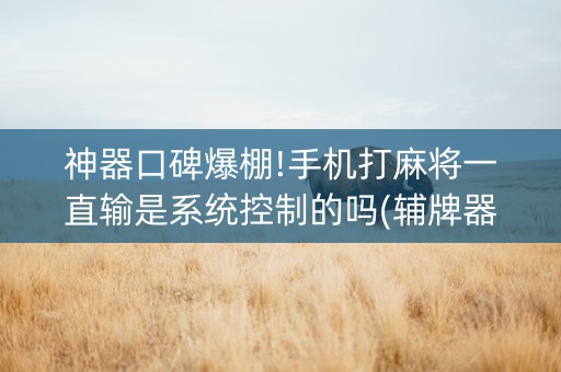 神器口碑爆棚!手机打麻将一直输是系统控制的吗(辅牌器插件购买)