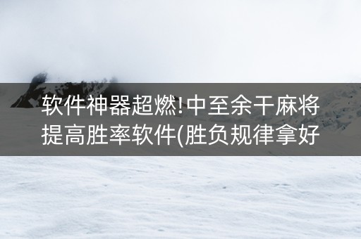 软件神器超燃!中至余干麻将提高胜率软件(胜负规律拿好牌)