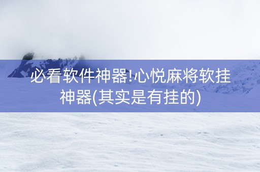 必看软件神器!心悦麻将软挂神器(其实是有挂的)